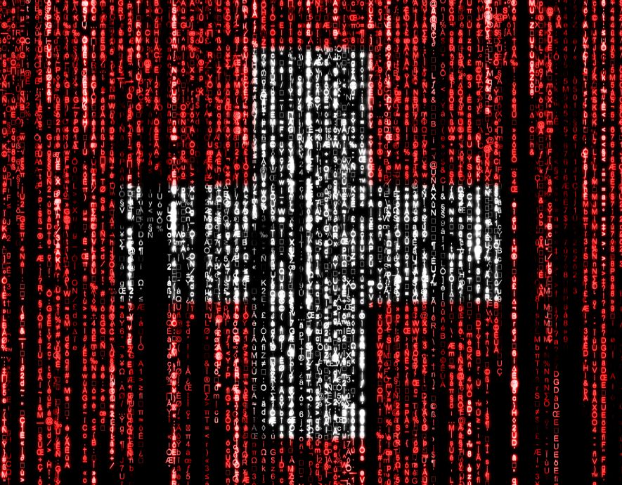 Image Suisse : la police, l’armée et les douanes touchées par une cyberattaque