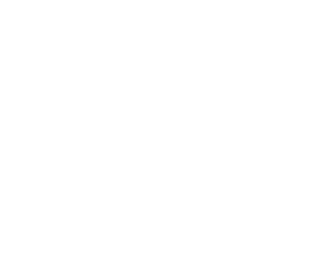InCyber