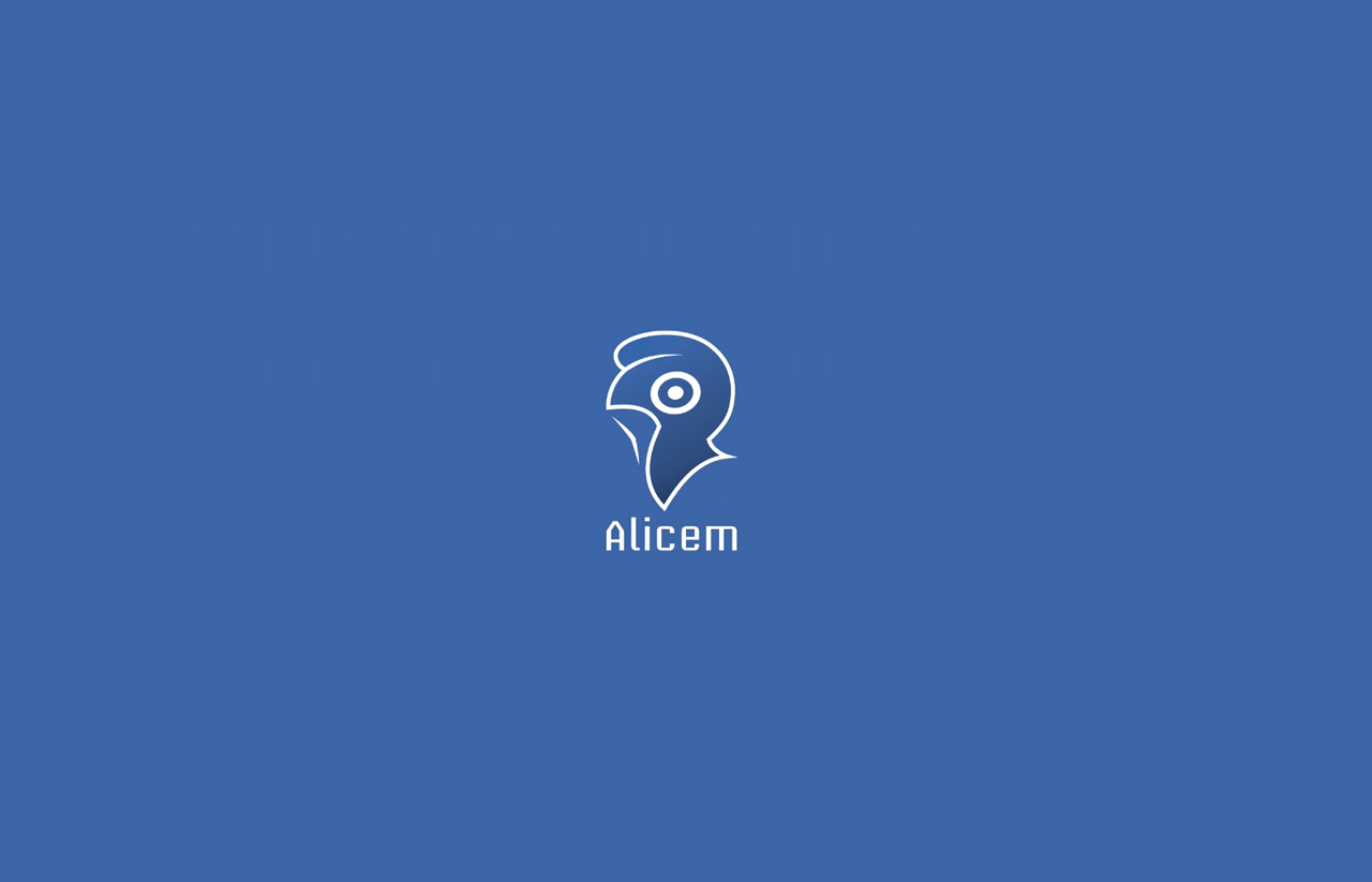 Alicem Mobile App Validated by the French Conseil d’Etat