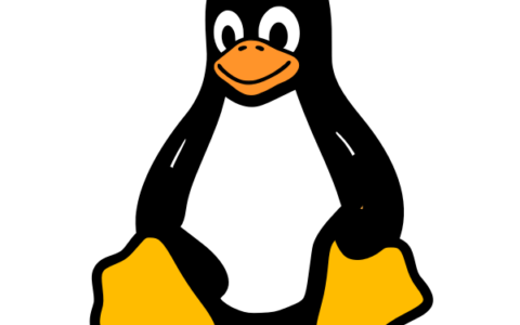 Intezer alerte sur OrBit, une menace Linux