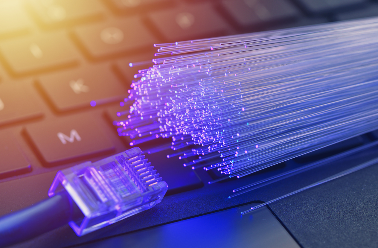 Cybersquattage : Freenom visé par une plainte de Meta