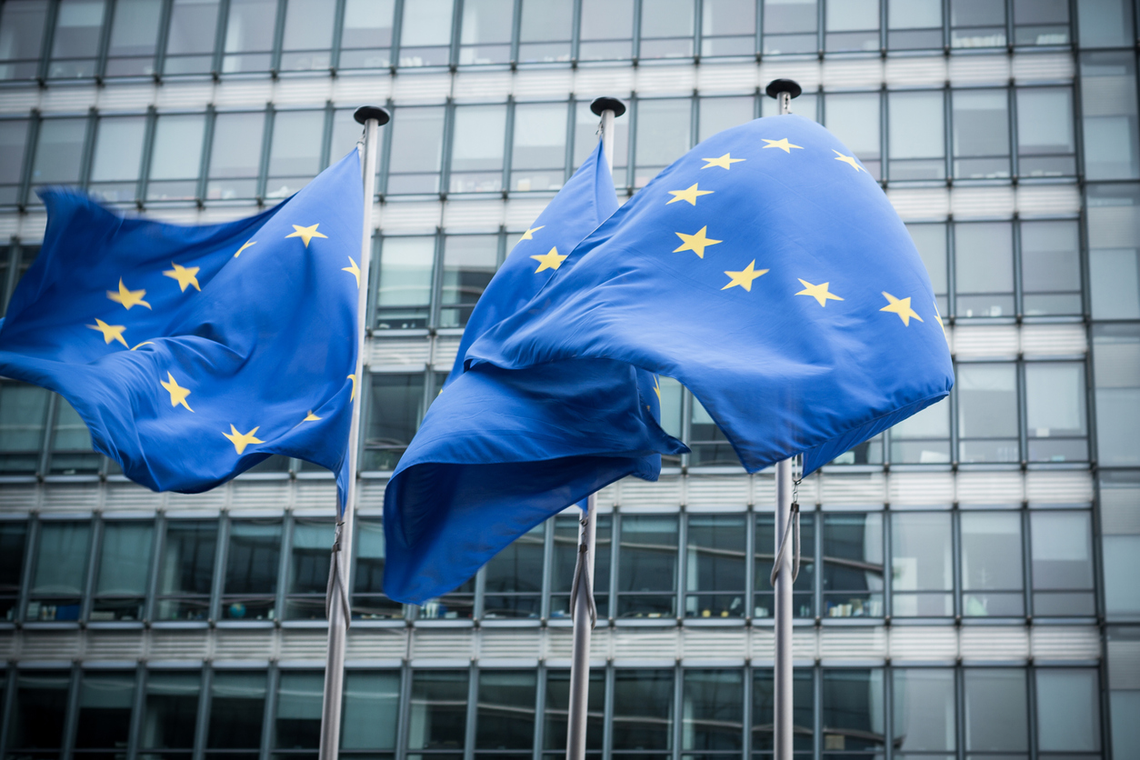 European Union: first critics to DSA
